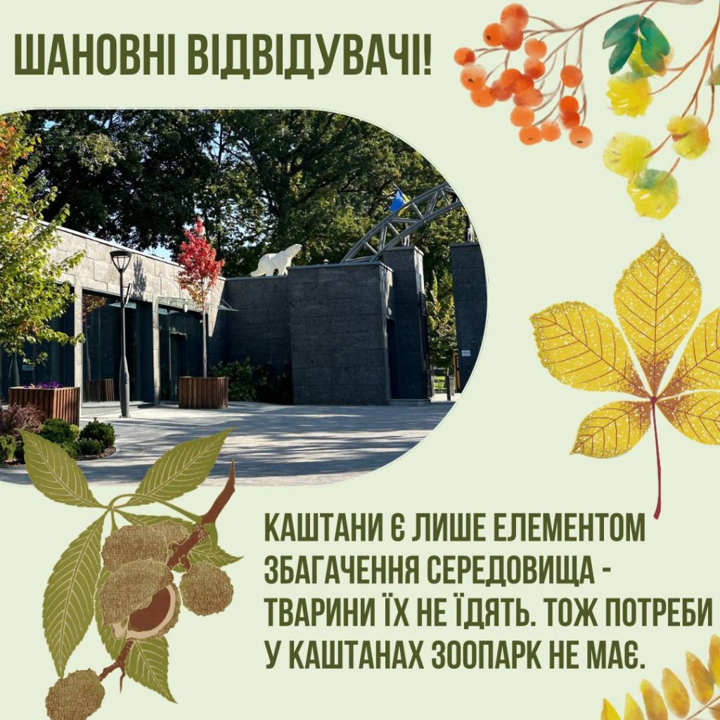 «Животные их не едят»: харьковчан просят не привозить каштаны в зоопарк