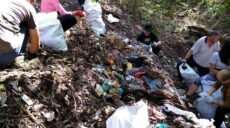 У Харкові волонтери розчищають яр і береги річки: зібрали ще 150 мішків сміття