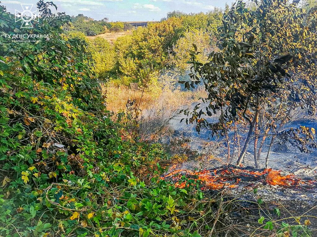 Масштабна пожежа сталася на Куп’янщині через ворожий артобстріл (фото)