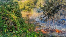 Масштабна пожежа сталася на Куп’янщині через ворожий артобстріл (фото)