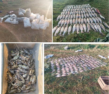 Погубив риби на понад мільйон грн: браконьєра піймали на Харківщині