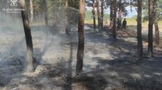 Ліс та сухостій горіли на Куп’янщині через ворожий артобстріл (фото)