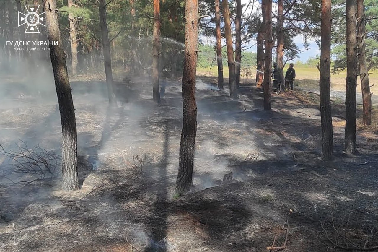 Лес и сухостой горели на Купянщине из-за вражеского артобстрела (фото)