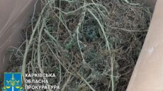 5 років за ґратами проведе житель Харківщини, який виготовляв наркотики