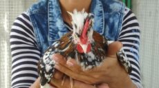 В харьковском экопарке поселились экзотические птицы (видео)