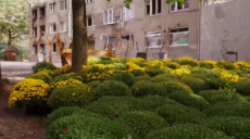 Традиционный Бал хризантем проведут в экопарке под Харьковом (видео)