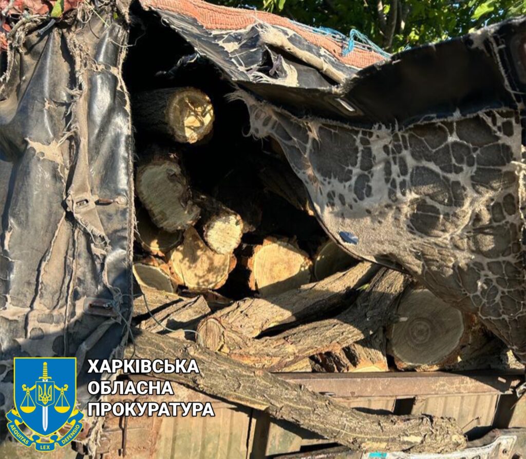 На Харківщині «чорний» лісоруб жорстоко побив майстра лісу: подробиці