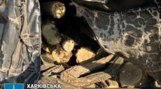 На Харківщині «чорний» лісоруб жорстоко побив майстра лісу: подробиці