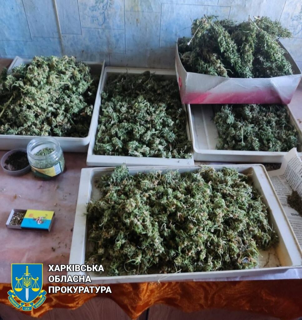 «Сімейний бізнес»: на Харківщині чоловік, мати і син продавали наркотики