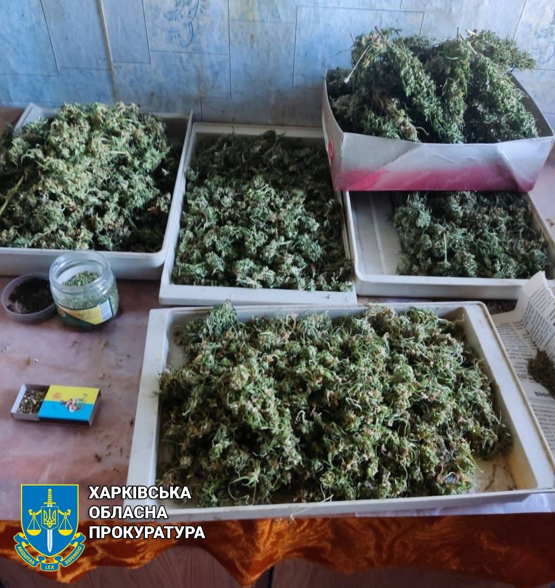 «Семейный бизнес»: на Харьковщине мужчина, мать и сын продавали наркотики