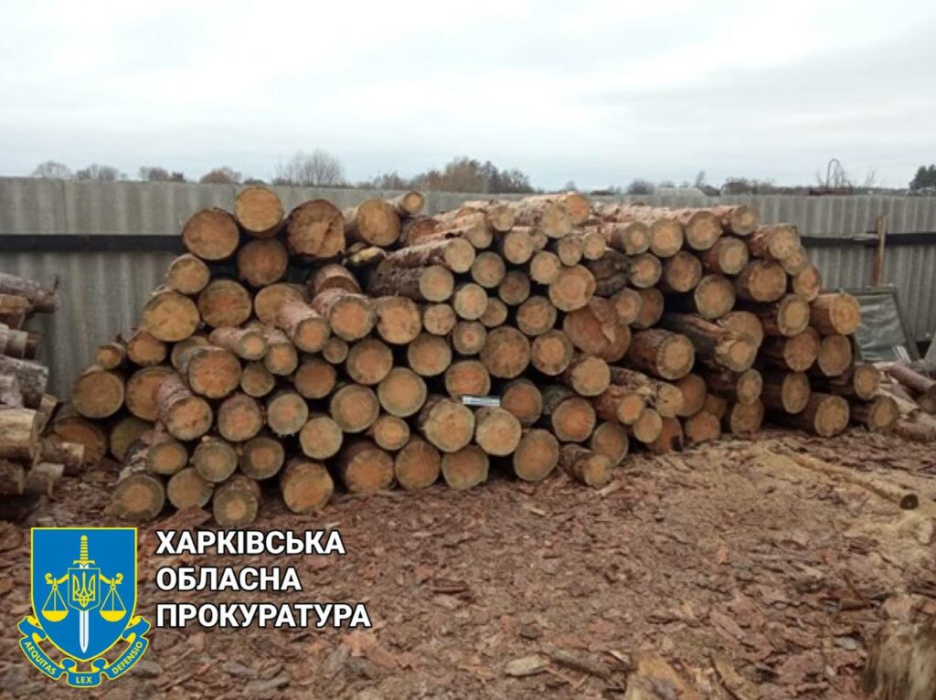 На Харьковщине будут судить лесоруба, который нарубил сосен в заказнике