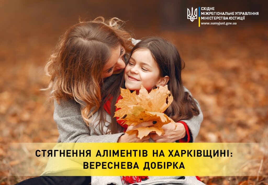 Майже пів млн грн стягнули з трьох батьків з Харківщини, які не платили дітям