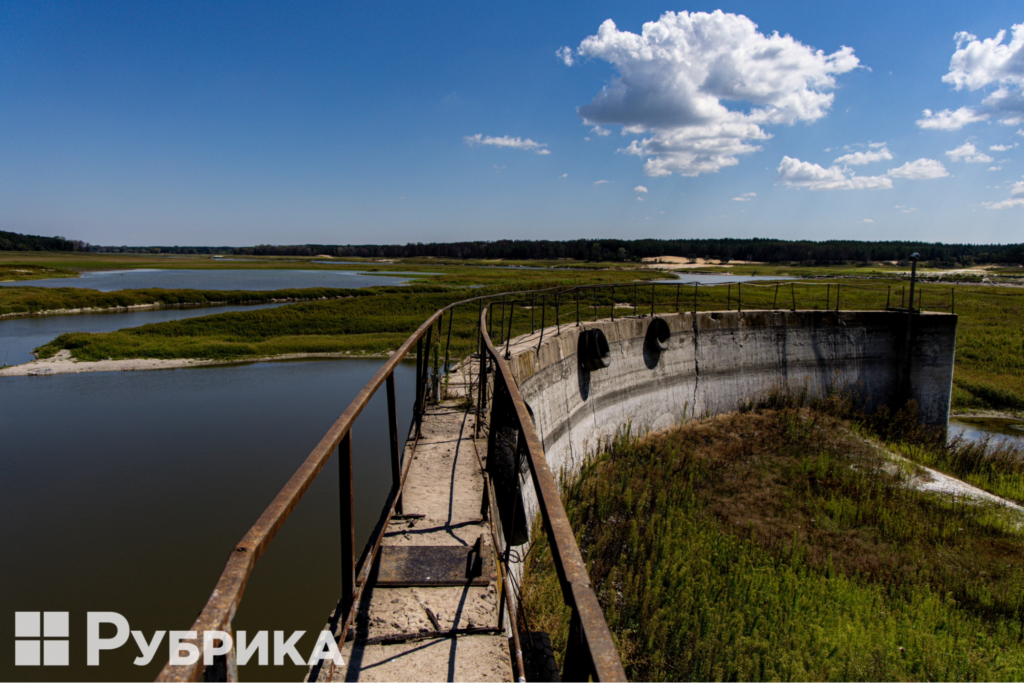 Оскільське водосховище після теракту: червонокнижні птахи і нові екосистеми