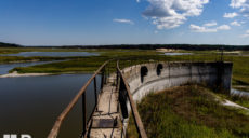 Оскольское водохранилище после теракта: краснокнижные птицы и новые экосистемы