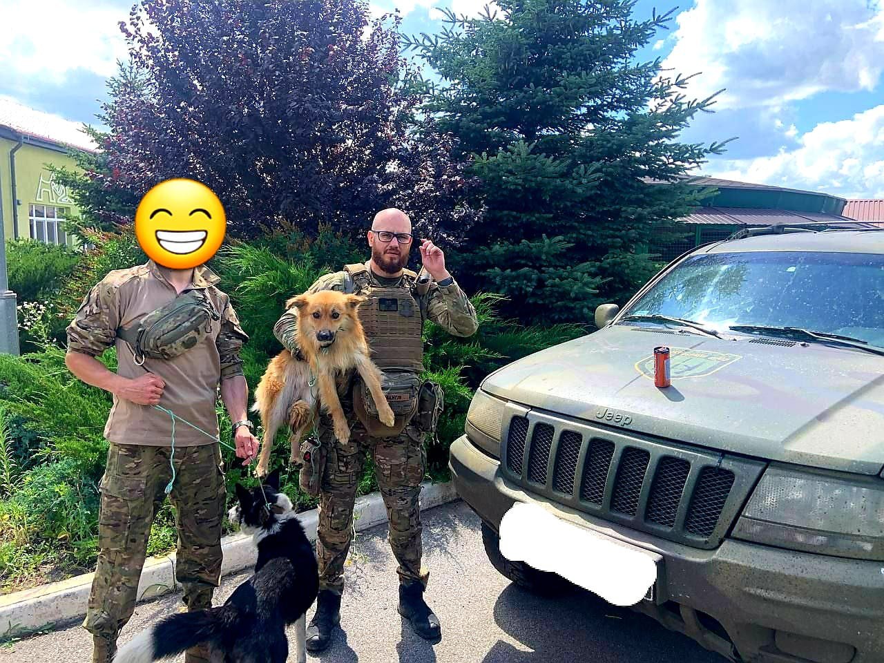 Собаки, которых спасли военные в Харькове