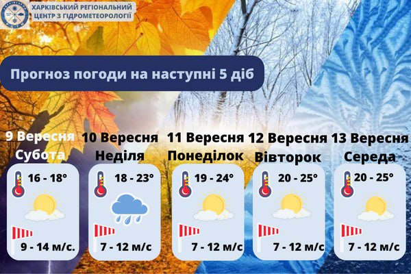 Какой будет погода в Харькове и области в эти выходные и на следующей неделе