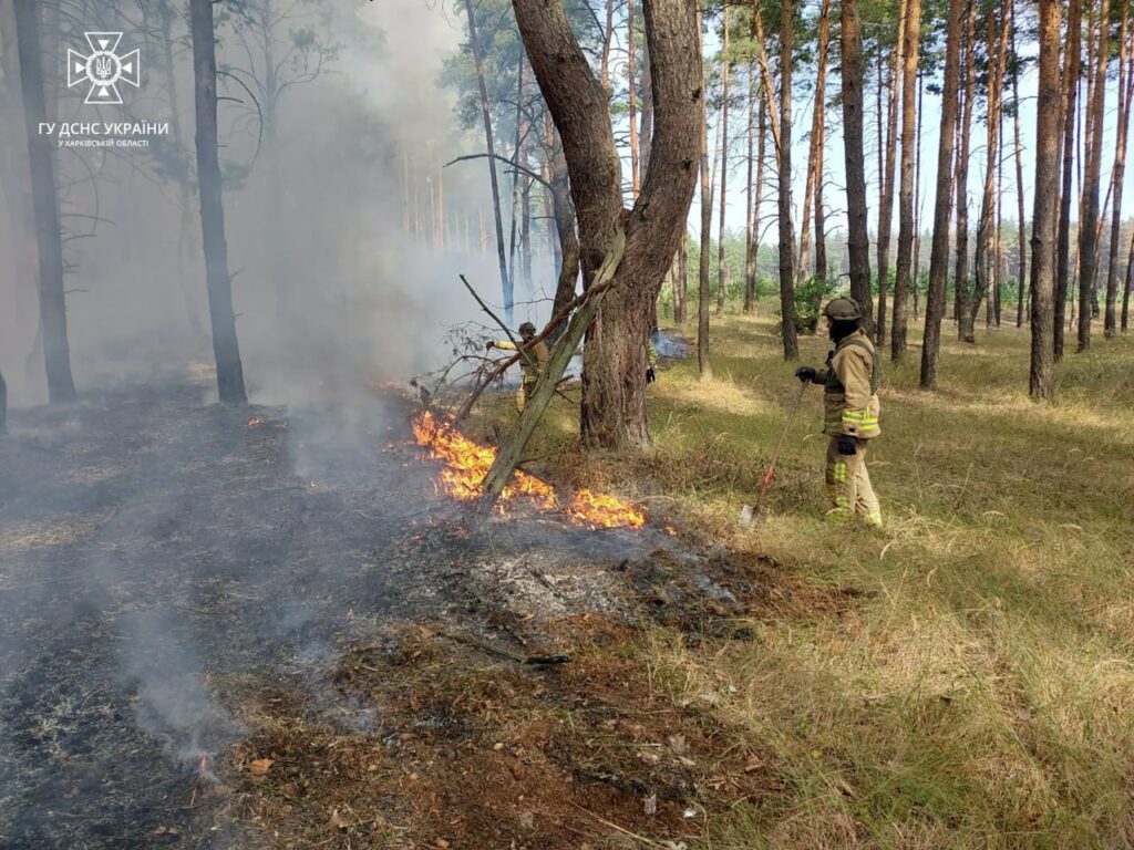 Через обстріл горіли ліс і трава у Куп’янському районі Харківської області