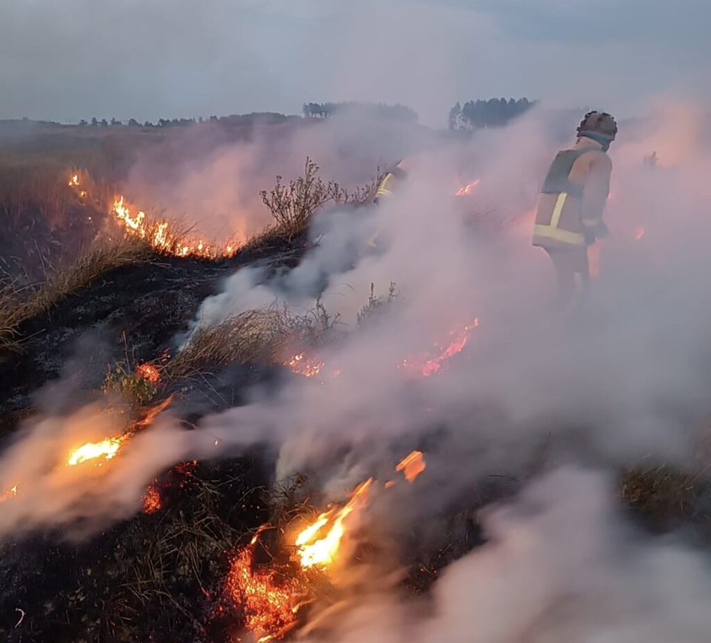 Двічі горіли трава і ліс на Харківщині внаслідок обстрілу – ДСНС