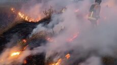 Двічі горіли трава і ліс на Харківщині внаслідок обстрілу – ДСНС