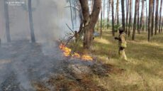 В результате обстрела горел лес и трава в Купянском районе Харьковской области