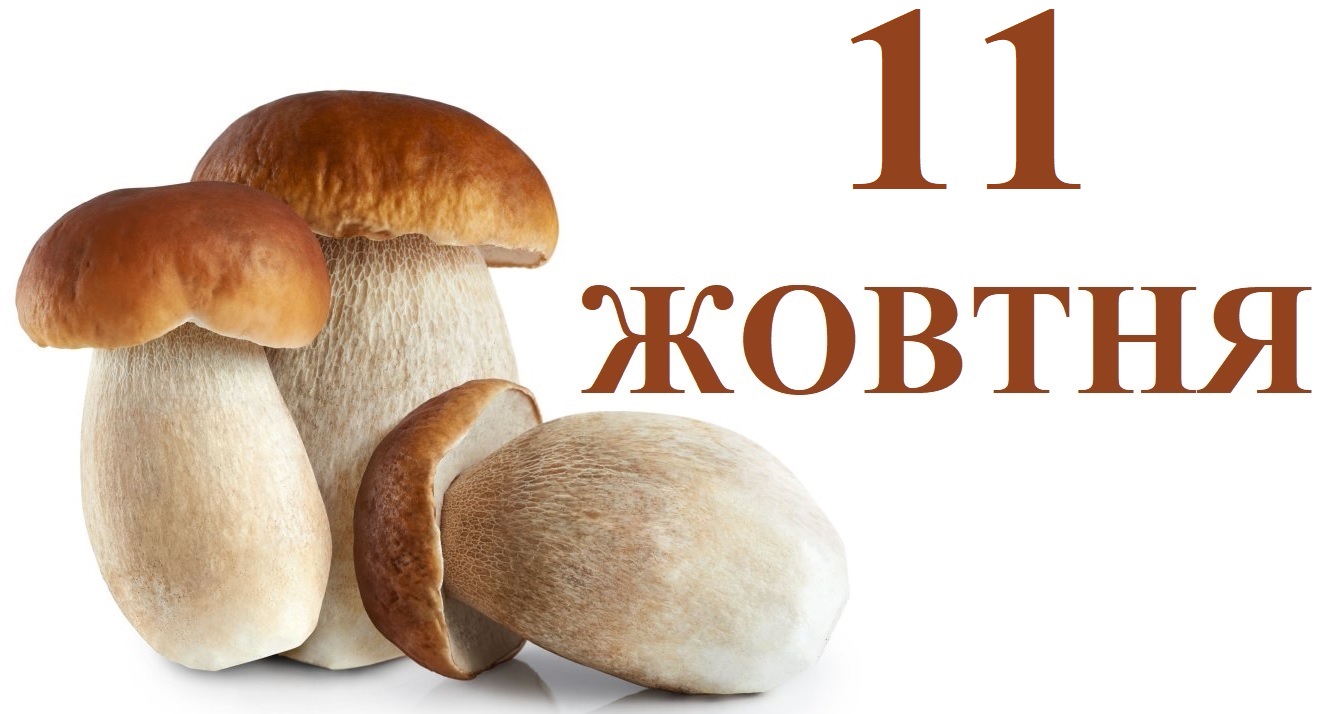 Сегодня 11 октября: какой праздник и день в истории