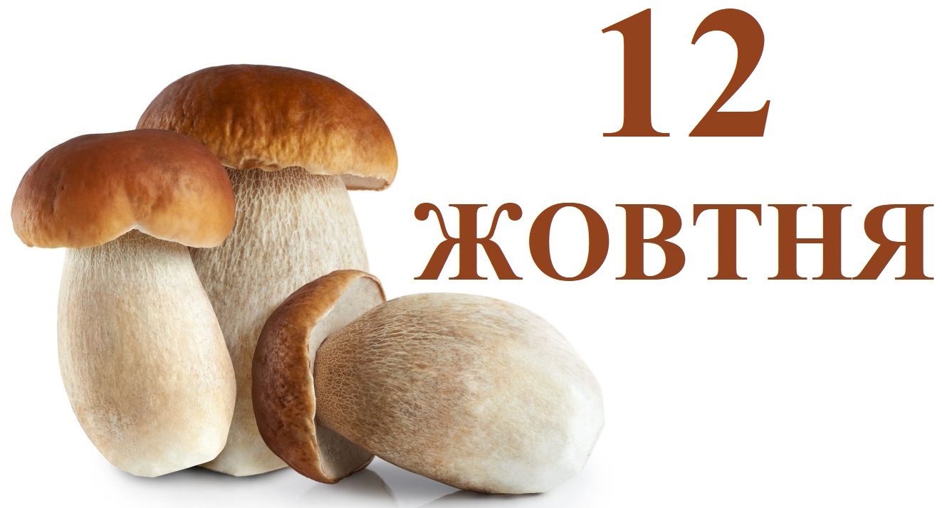 Сегодня 12 октября: какой праздник и день в истории