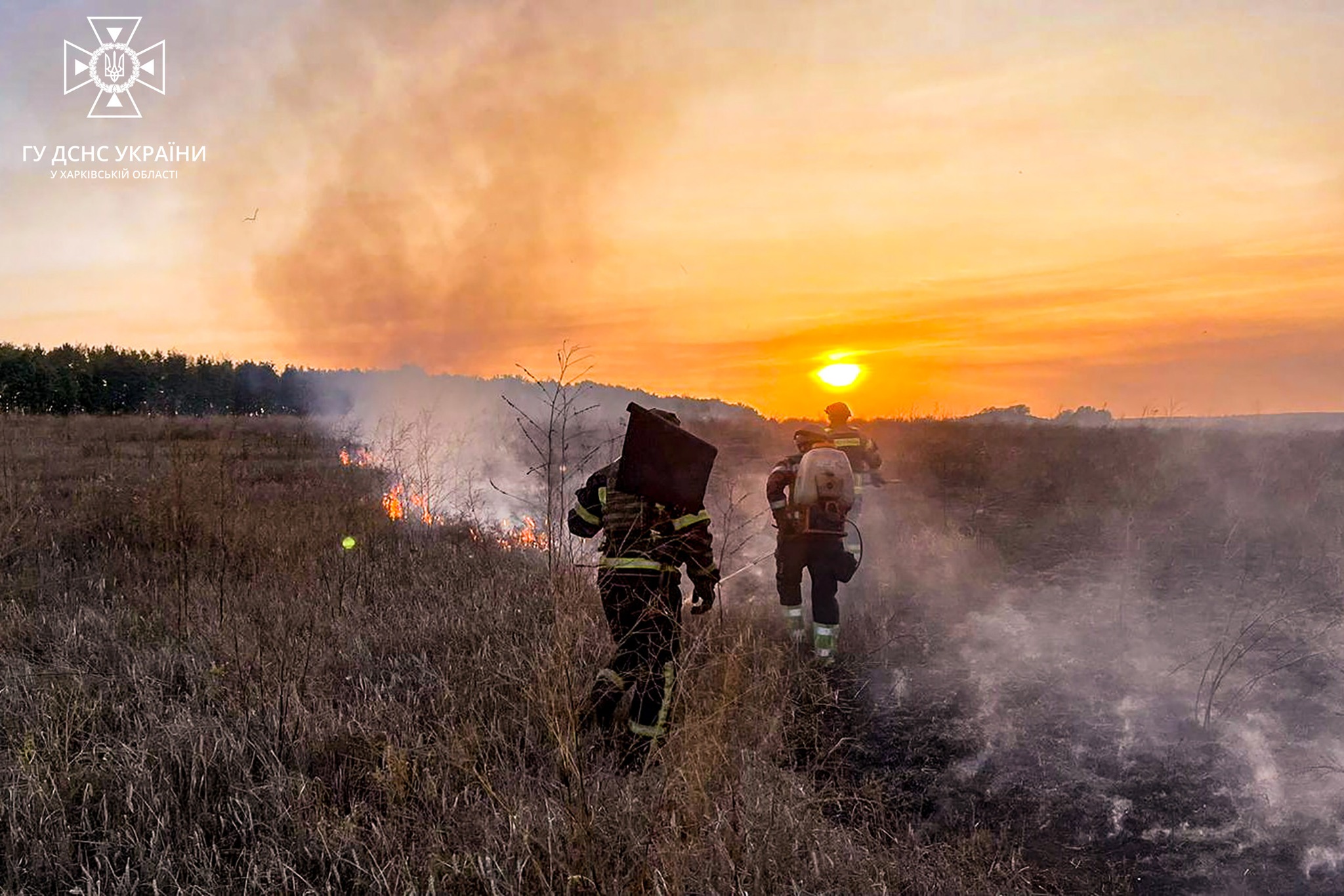 ДСНС гасять поле із сухостоєм