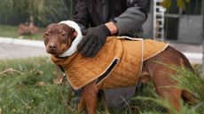 У Харкові безпритульні собаки стали моделями (фото)