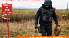 Смертельный взрыв в поле на Харьковщине: в ГСЧС сообщили подробности