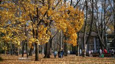 “Бабине літо” не відступає. Прогноз погоди в Харкові та області на 31 жовтня