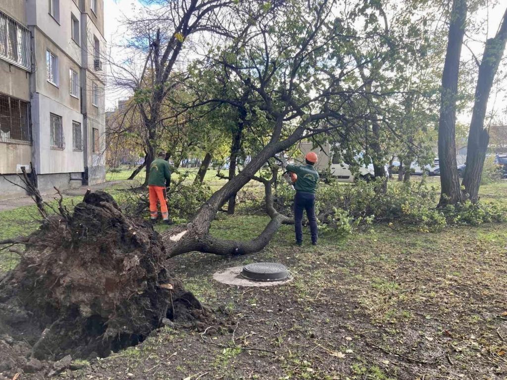 У Харкові другу добу прибирають повалені ураганом дерева (фото)