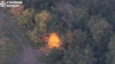 FPV-дрон спалив ворожу вантажівку на Куп’янському напрямку (відео)