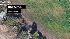 Вражескую «Рапиру» уничтожили пограничники на Купянском направлении (видео)