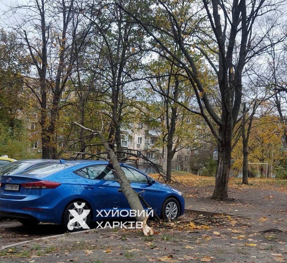Повалені дерева і зірвані покрівлі – наслідки буревію в Харківській області