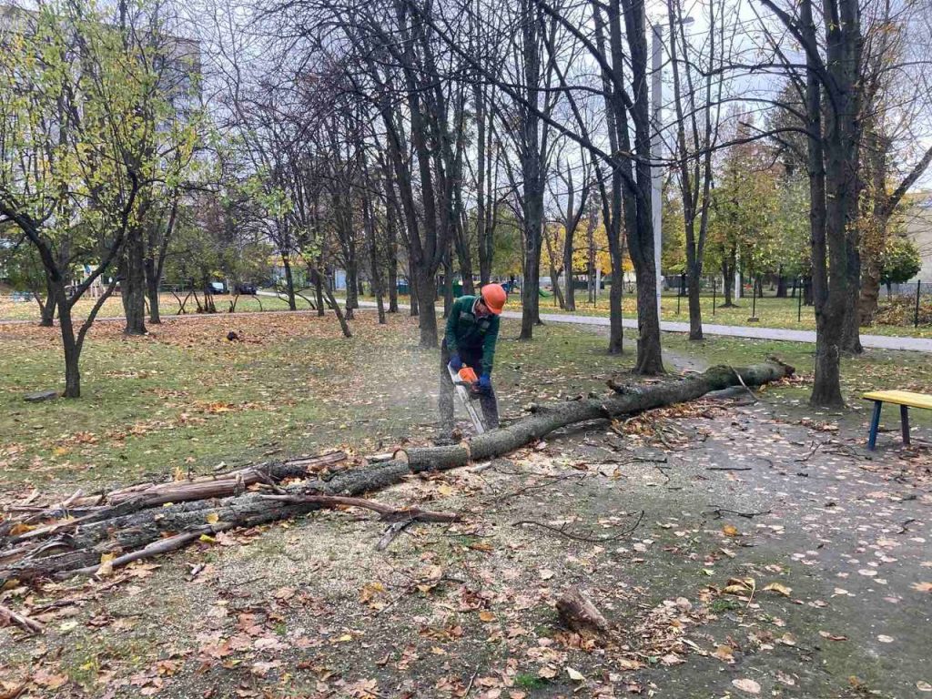 101 дерево та 94 великі гілки повалив вітер у Харкові