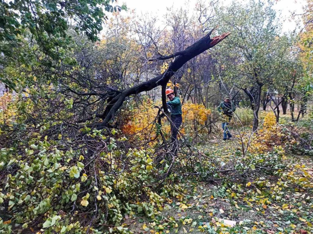 Вітер у Харкові: рятувальники 29 разів виїжджали на допомогу, поранено 3 людей