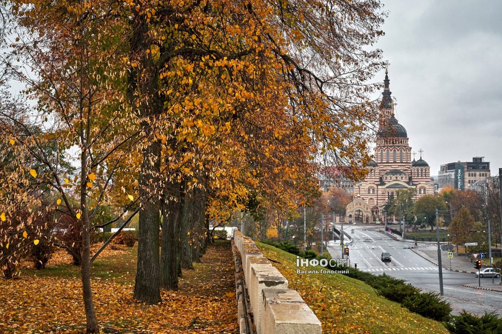 Дождь и туман. Какая погода будет завтра в Харькове и области