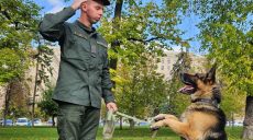 В центре Харькова собак наградили медалями за заслуги на блокпостах (фото)