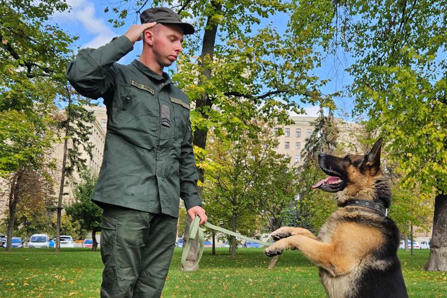 В центре Харькова собак наградили медалями за заслуги на блокпостах (фото)