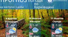 Заморозки та дощ: прогноз погоди в Харкові та області на початок тижня
