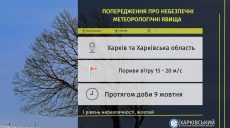 У понеділок на Харківщині – шквали: жителів попереджають про небезпеку
