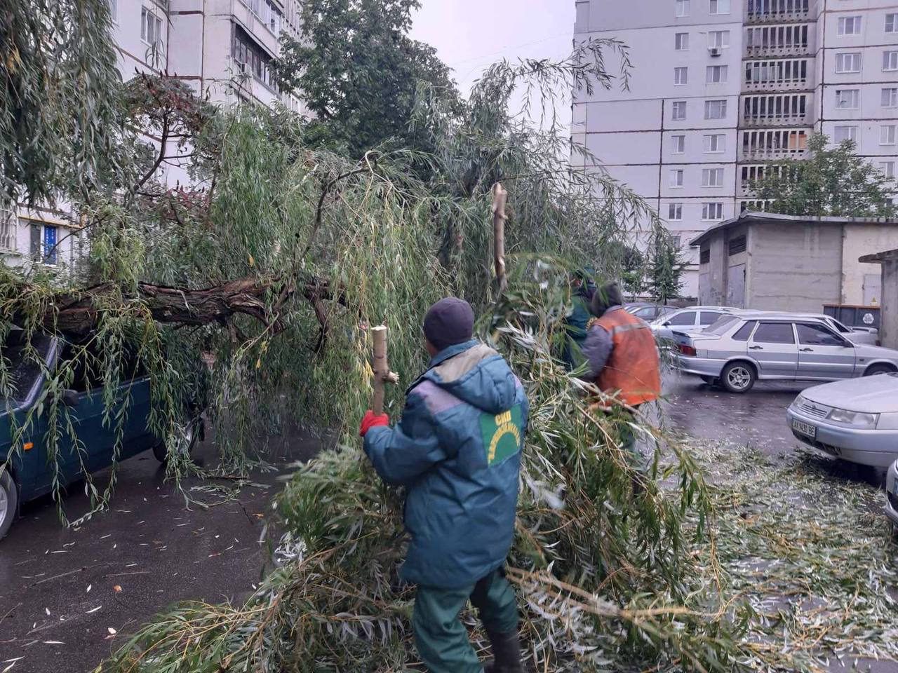 У Харкові вітер валив гілки та дерева: міськрада показала наслідки (фото)