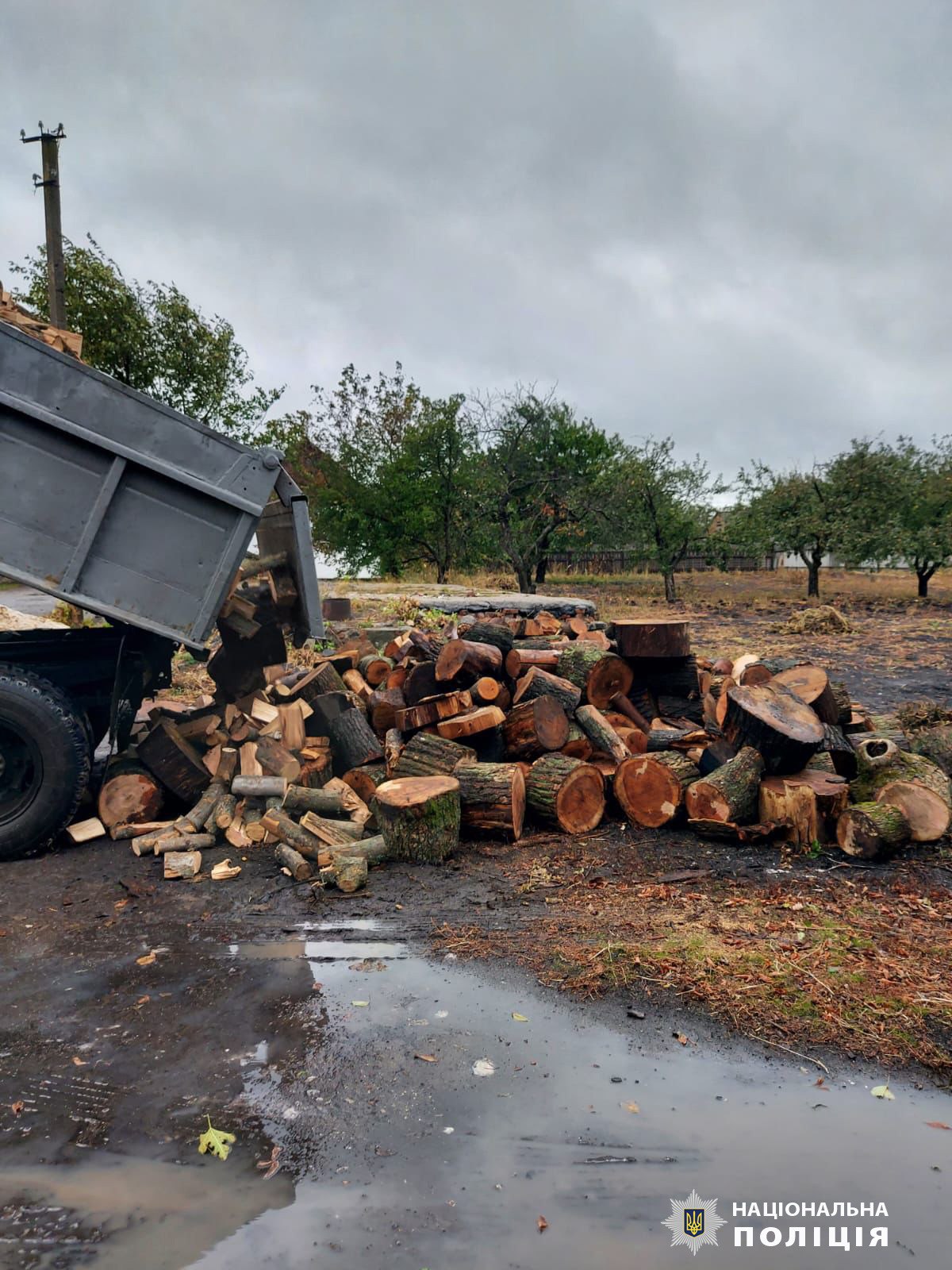 На Харьковщине незаконно продавали дрова