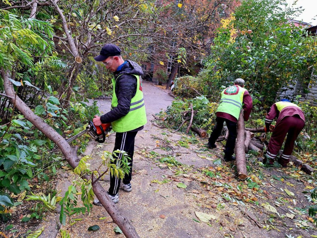 Ураган у Харкові повалив та пошкодив 130 дерев та 129 гілок (фото)