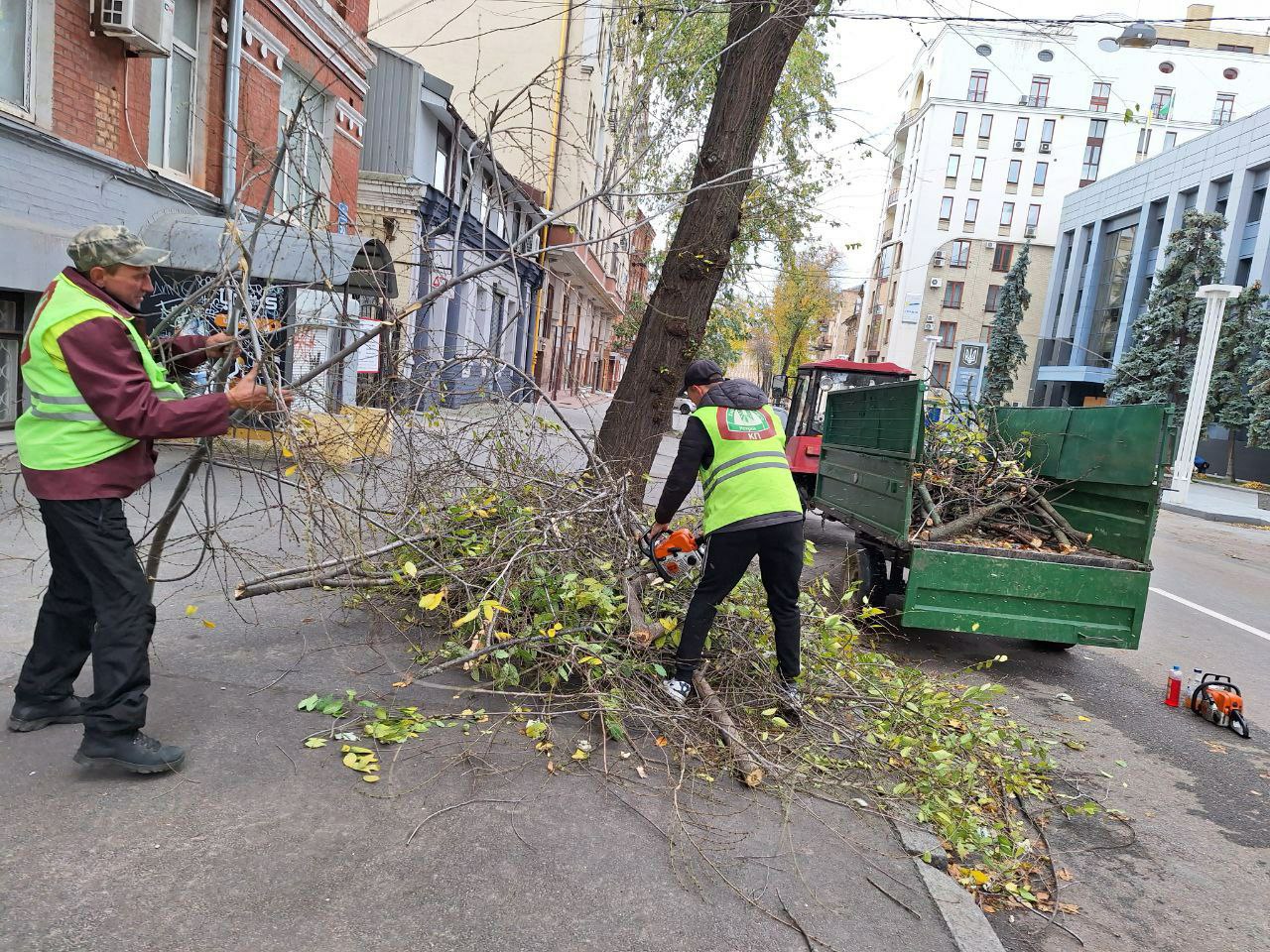 Ураган повалил деревья в Харькове