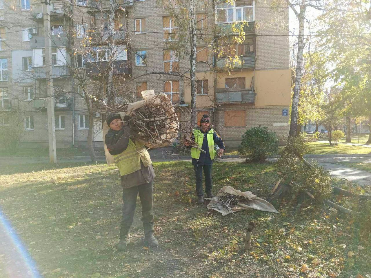 Ураган повалив дерева у Харкові 4