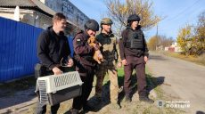 16 дітей і собачку Лорі евакуювали з прифронтової Куп’янщини (фото)