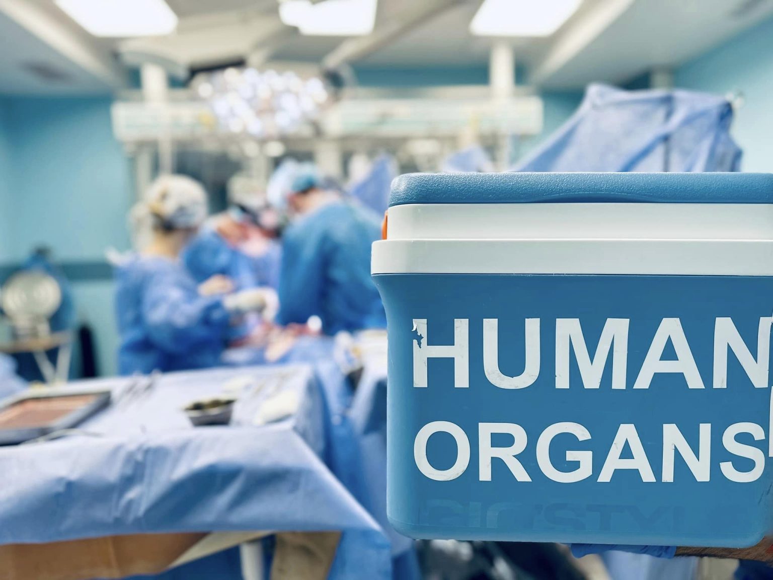 8-річного хлопчика з Харківщини врятували хірурги зі Львова