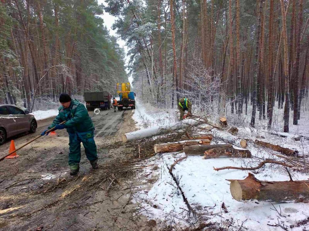 Вітер у Харкові повалив три дерева, є випадки обриву дротів (фото)