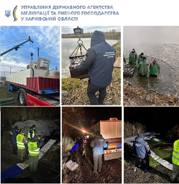 Товстолобик, амур і короп. 14 тонн риби випустили у водосховище на Харківщині